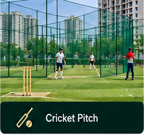 Patel Neotown amenity – Cricket Pitch